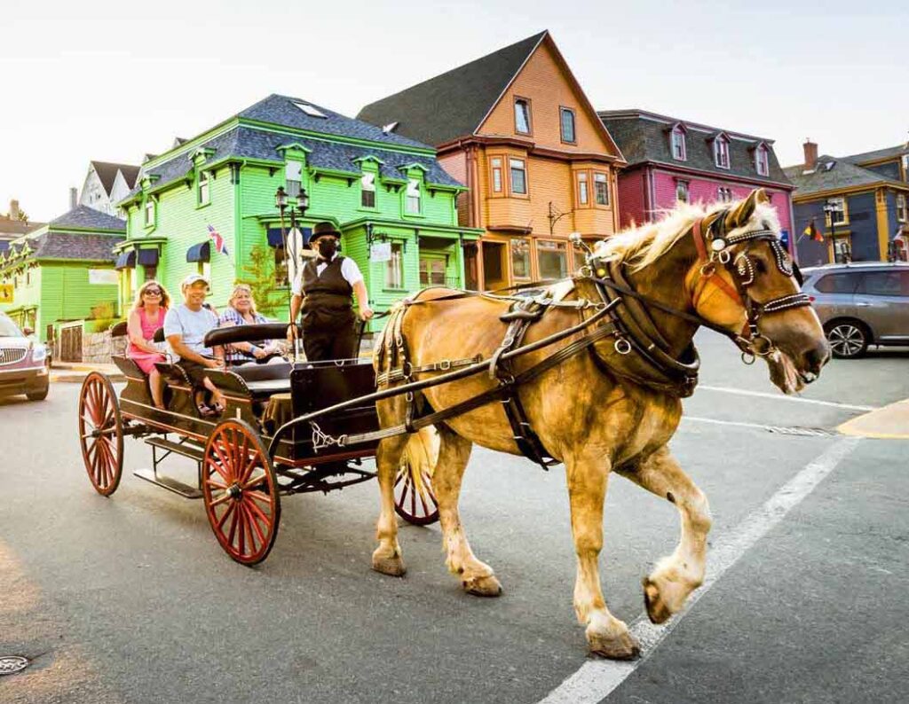 Trot in Time Carriage Rides Lunenburg NS