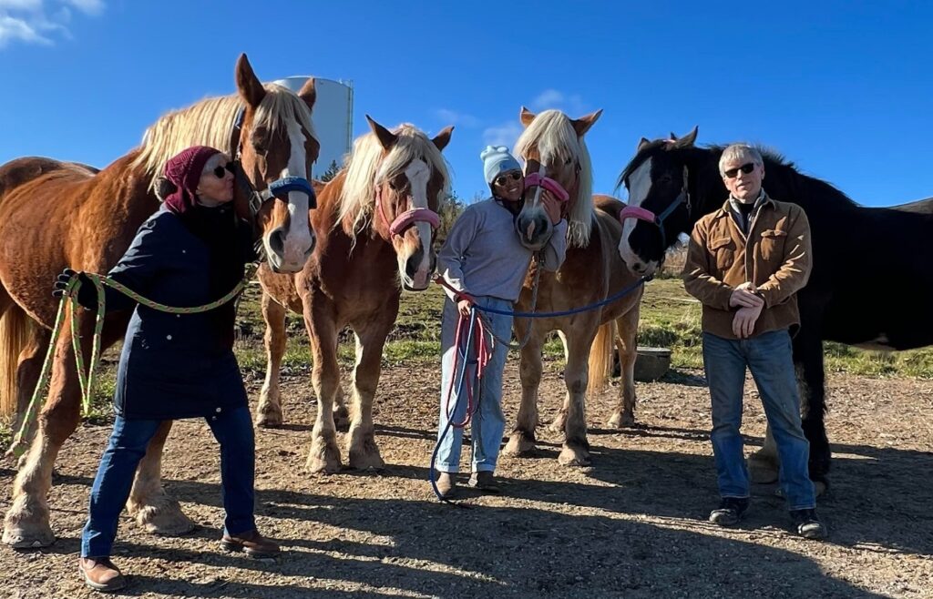 Our Story - Trot In Time Carriage Tours